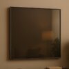 TV-Mirrorglas - Grijstint - 6mm dik